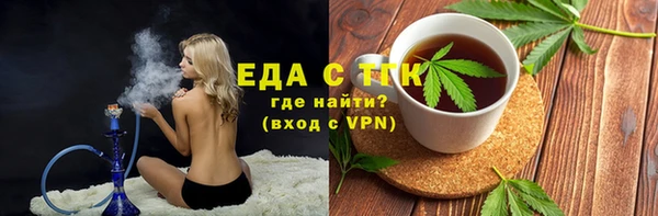 индика Богородицк
