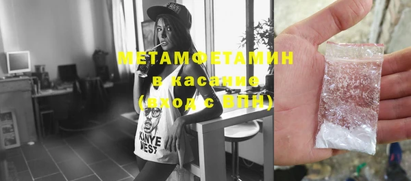индика Богородицк