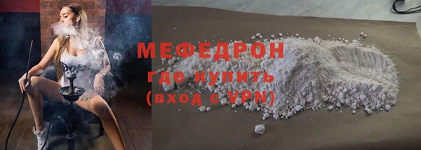 индика Богородицк