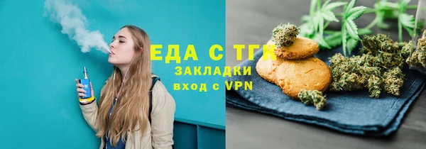 индика Богородицк