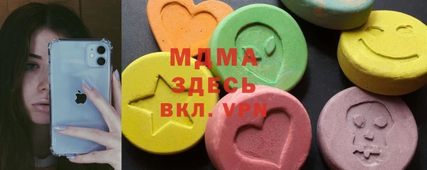 индика Богородицк