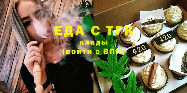 индика Богородицк