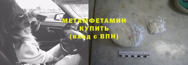 индика Богородицк