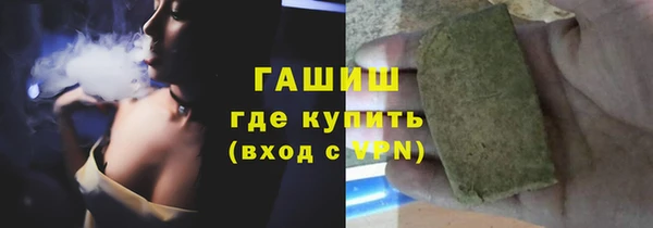 индика Богородицк