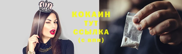 индика Богородицк