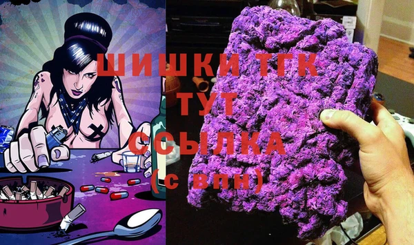 индика Богородицк