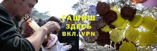 индика Богородицк
