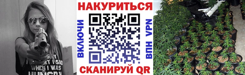 Шишки марихуана семена  Моздок 